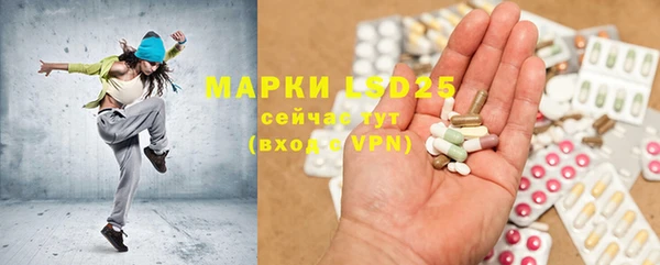 apvp Алексин