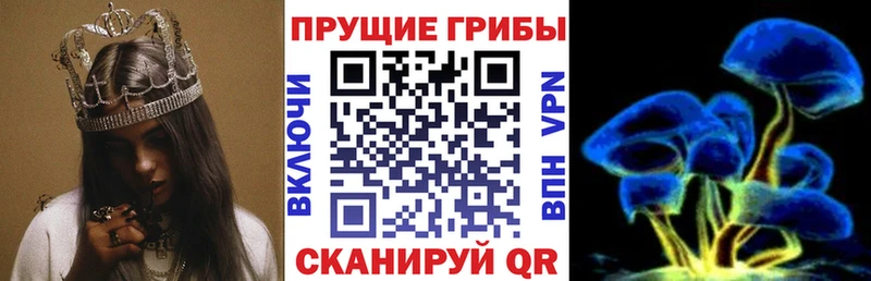 Купить Уварово Галлюциногенные грибы мухоморы